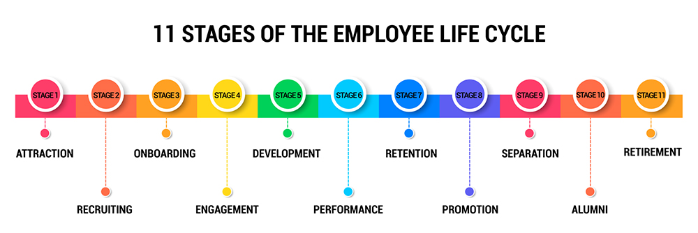 Decoding the 11-Stage Employee Spell