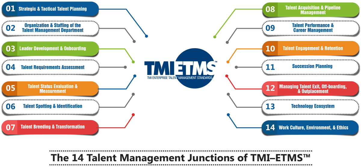 The 14-Junction TMI–ETMS™ Standards Framework