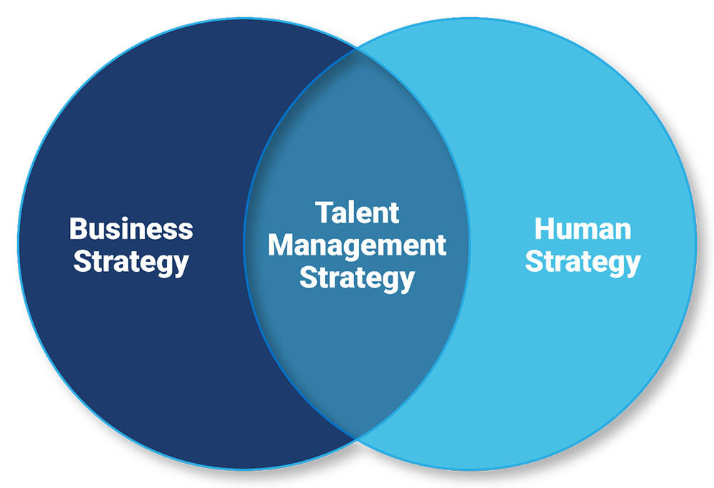 Talent Management Strategy