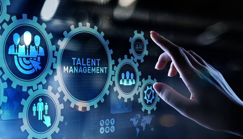 What Are the Essential Components of Talent Management?
